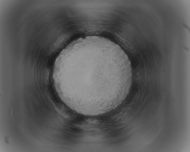 X0000092330742200710121533