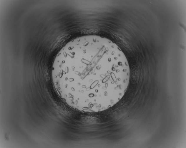 X0000092330743200710121533