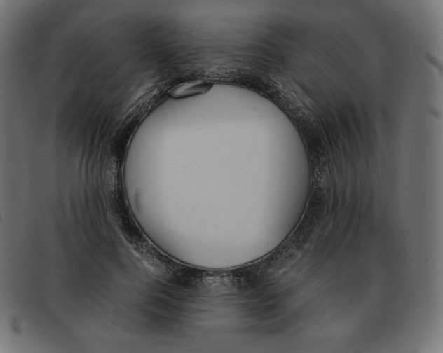 X0000092330744200710121533