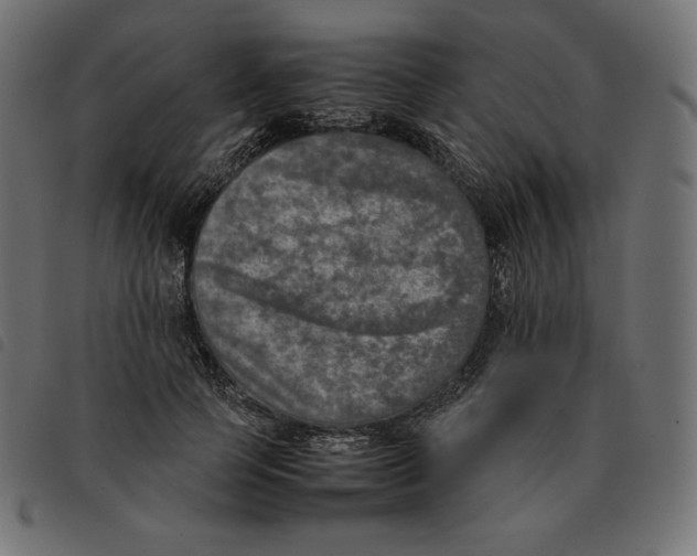 X0000092330745200710121533