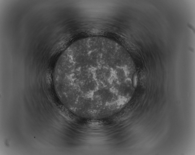 X0000092330746200710121533
