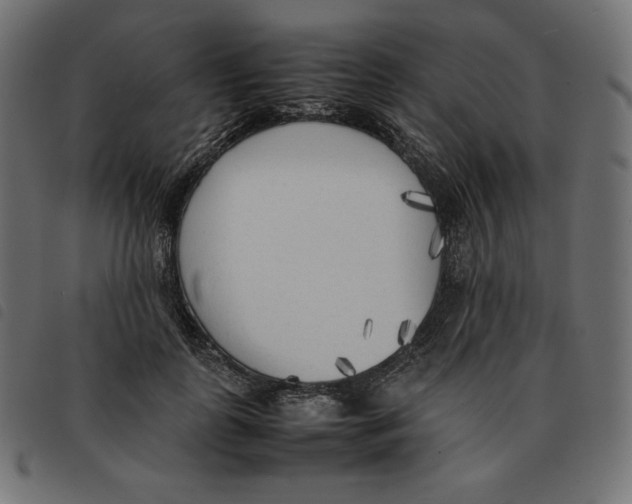 X0000092330747200710121533