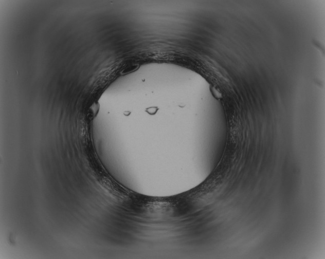 X0000092330748200710121533