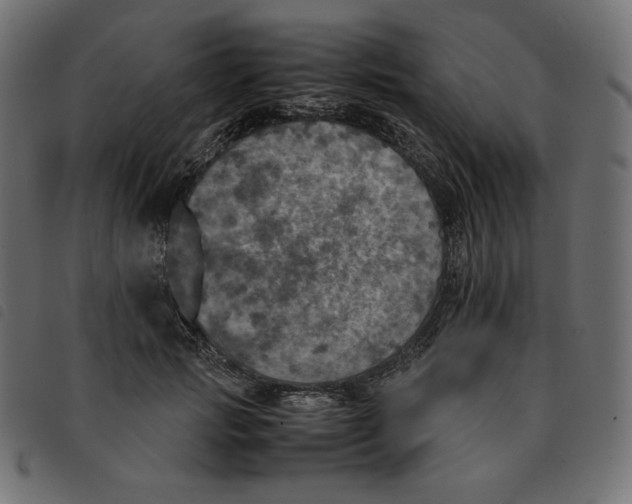 X0000092330749200710121533