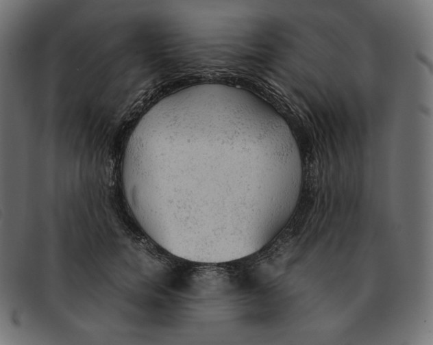 X0000092330750200710121533