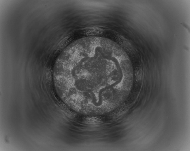 X0000092330753200710121533