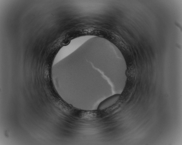 X0000092330754200710121533