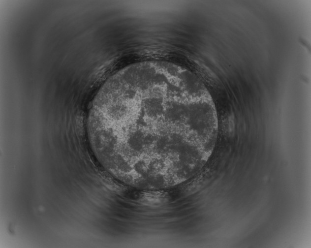 X0000092330757200710121533