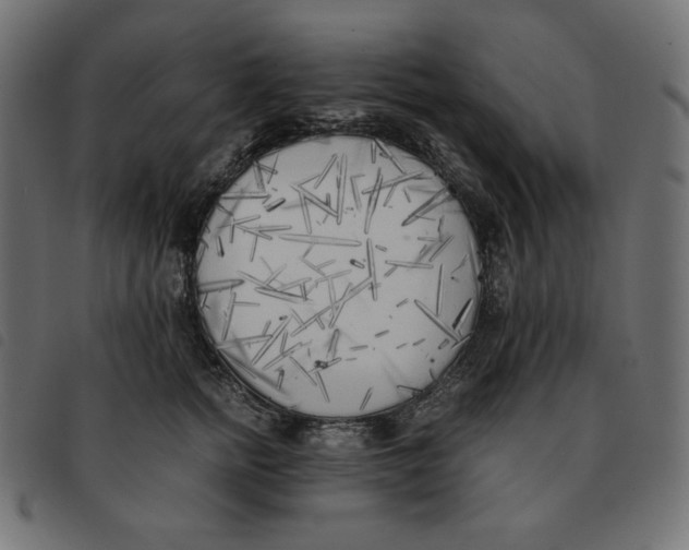 X0000092330758200710121534