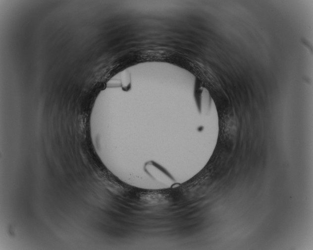 X0000092330759200710121534