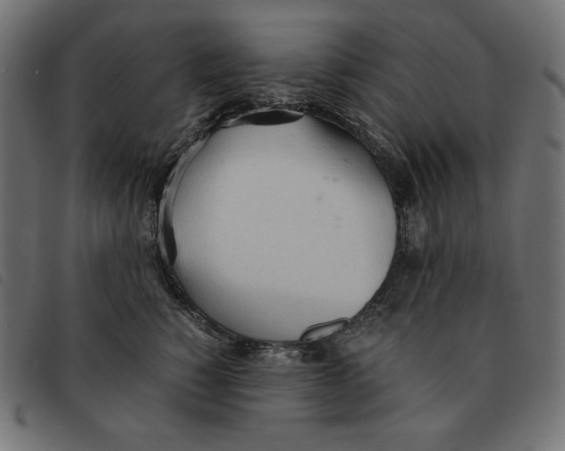 X0000092330760200710121534
