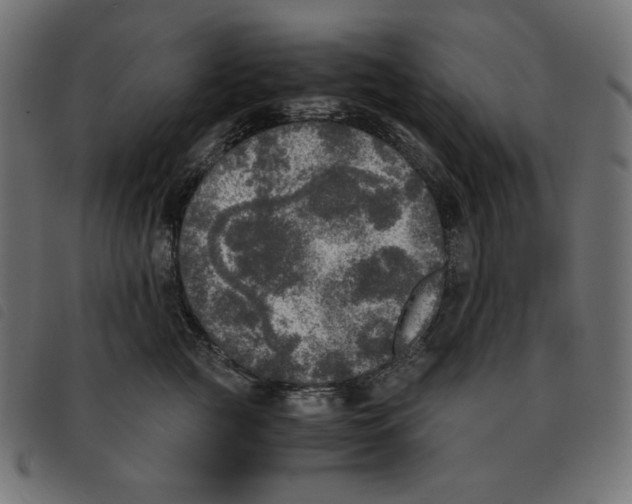 X0000092330761200710121534