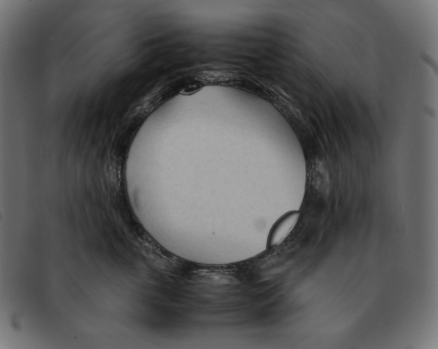 X0000092330763200710121534