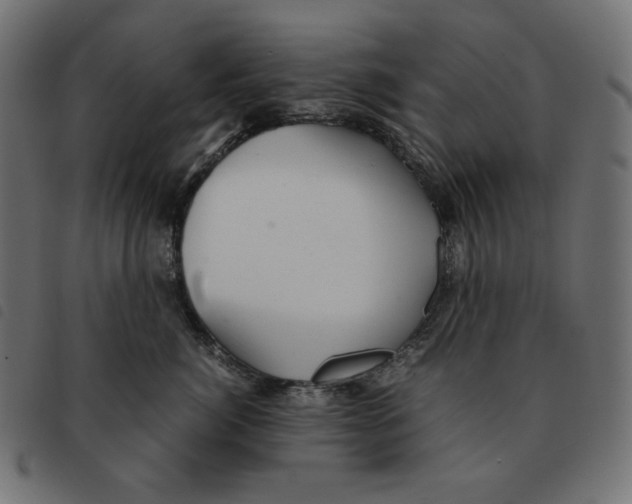X0000092330764200710121534