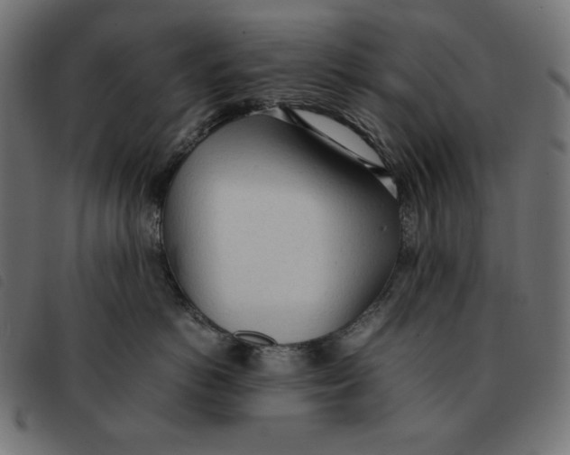 X0000092330766200710121534