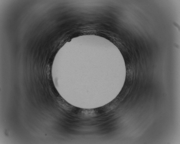 X0000092330767200710121534