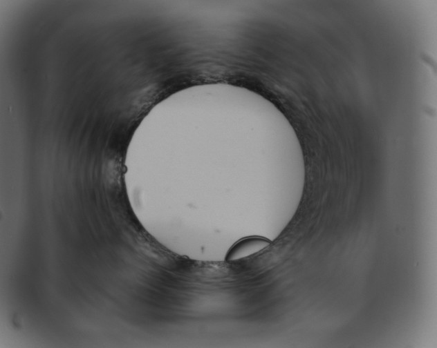 X0000092330768200710121534
