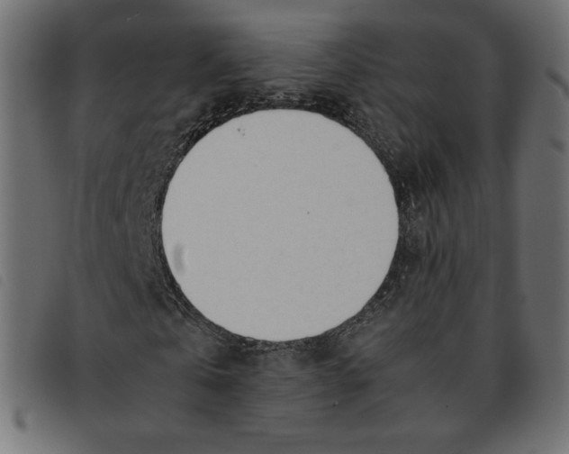 X0000092330769200710121533
