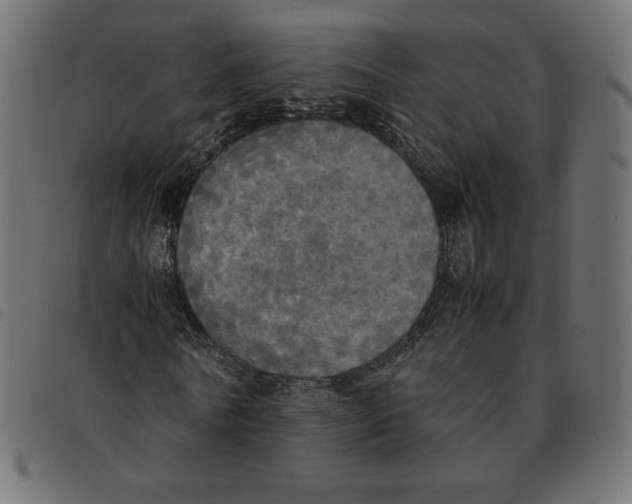 X0000092330770200710121533