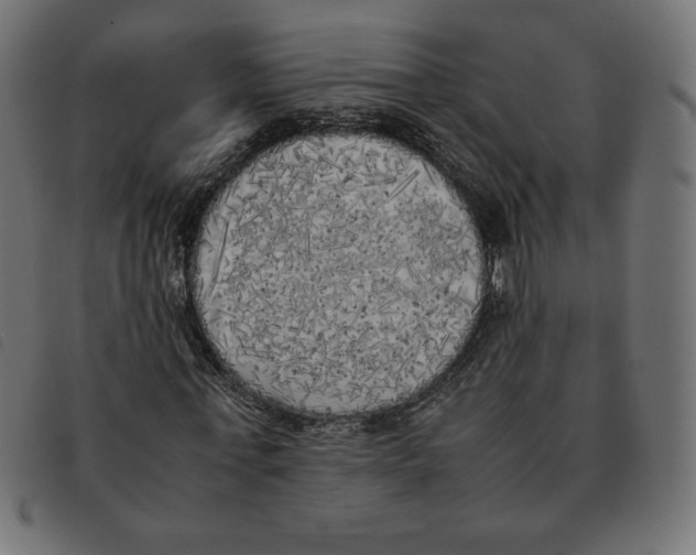 X0000092330771200710121533