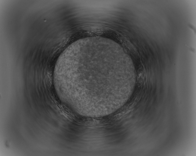 X0000092330772200710121533