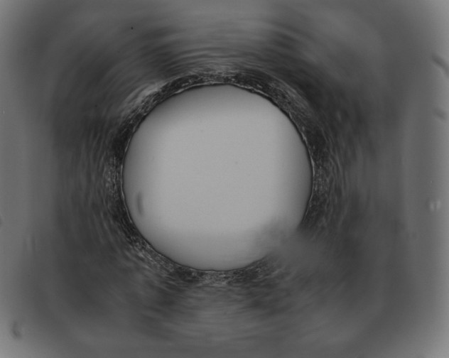 X0000092330773200710121533