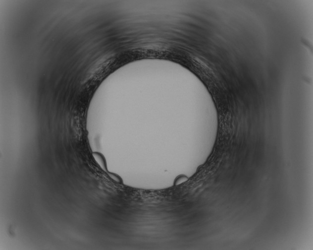 X0000092330774200710121533