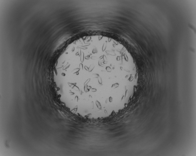 X0000092330775200710121533