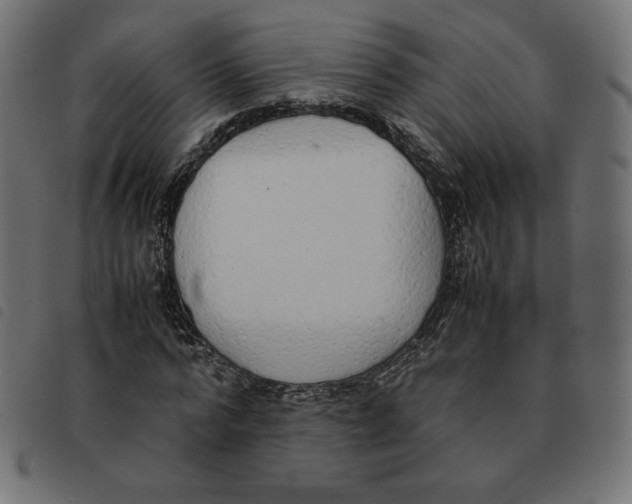 X0000092330776200710121533