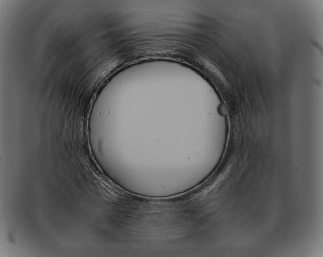 X0000092330777200710121533