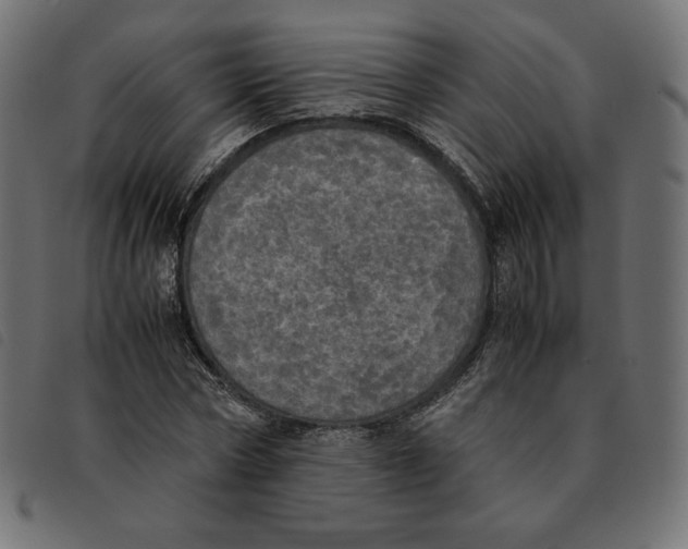 X0000092330778200710121533