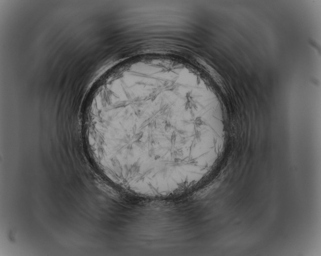 X0000092330779200710121533