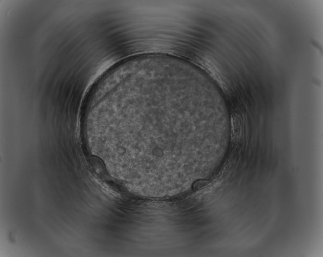 X0000092330780200710121533
