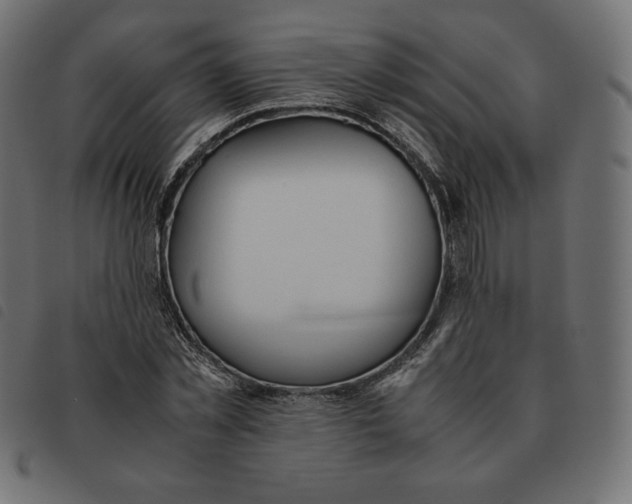 X0000092330781200710121533