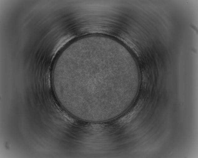 X0000092330782200710121533