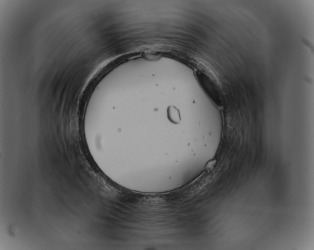 X0000092330784200710121533