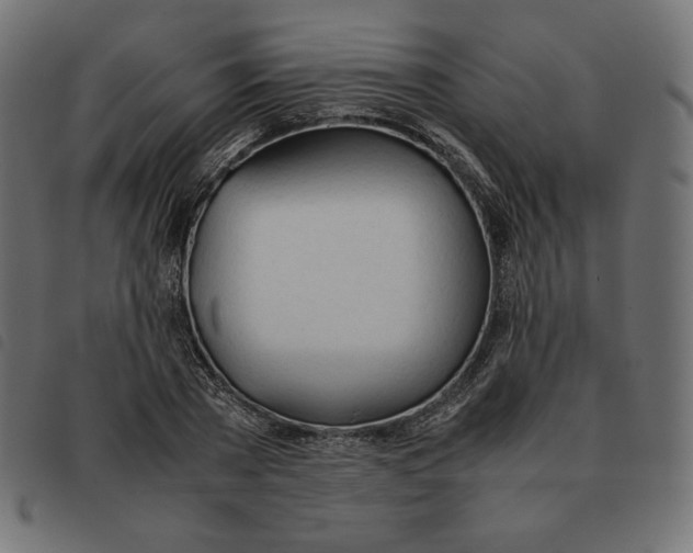 X0000092330785200710121533