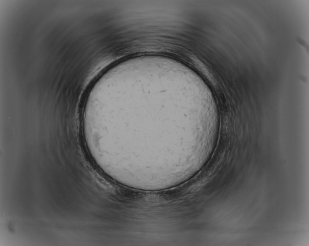 X0000092330787200710121533