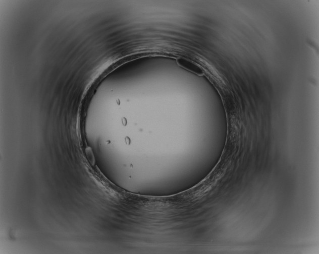 X0000092330788200710121533