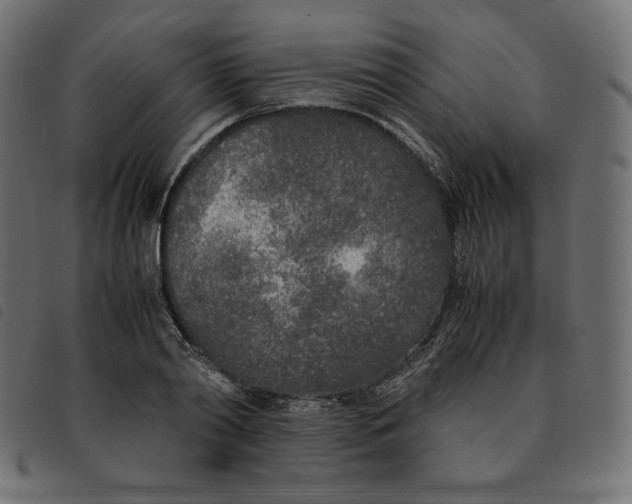 X0000092330790200710121533