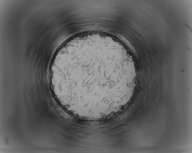 X0000092330791200710121533