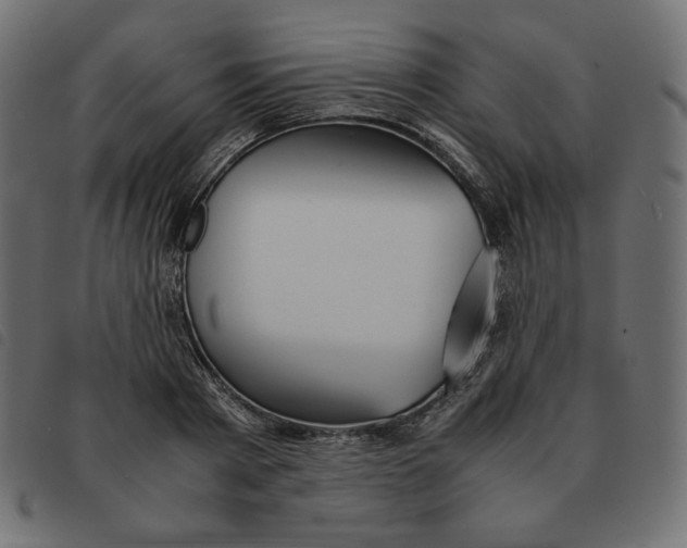 X0000092330793200710121533