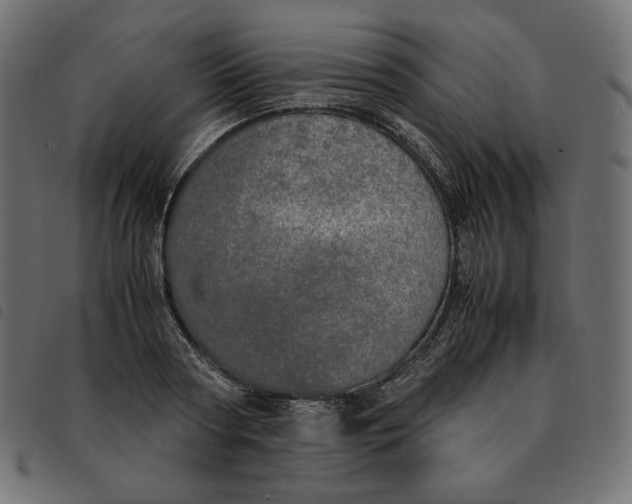 X0000092330794200710121533