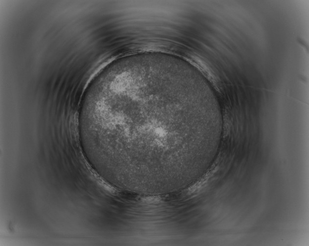 X0000092330798200710121533