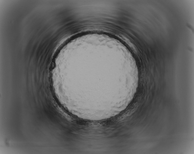 X0000092330799200710121533