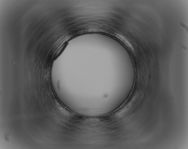 X0000092330801200710121533