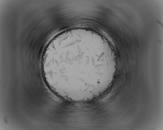 X0000092330803200710121533