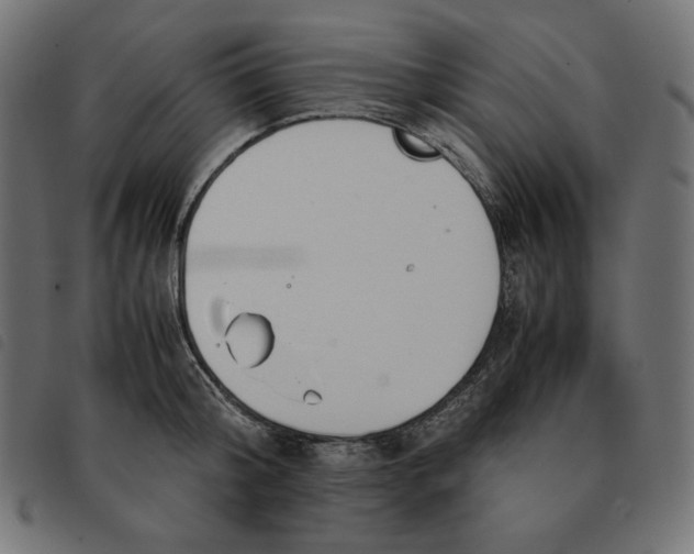 X0000092330804200710121533