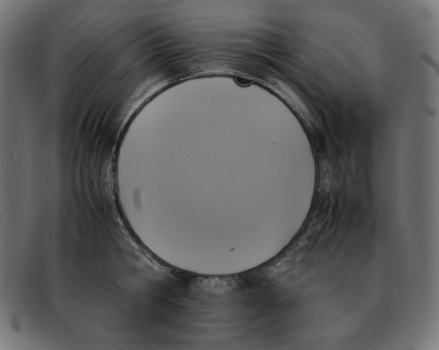 X0000092330806200710121532