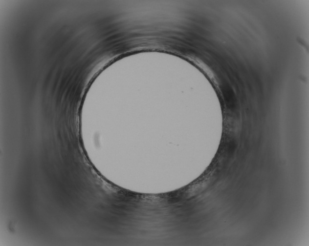 X0000092330807200710121532